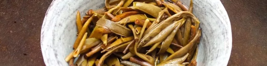 La famille des thés blancs 1 thés blancs en bourgeon