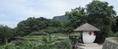 Collines de thé à Maokong