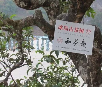 Pancarte d'identification sur un arbre à thé