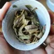 Thé blanc Bio du Hunan