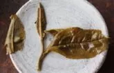 Feuille de thé infusée bourgeon et une feuille