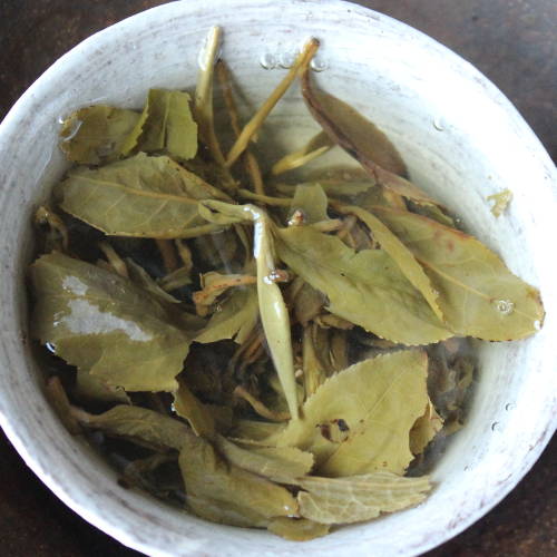 Jasmin Pearl Bio 3 infusion des perles de jasmin