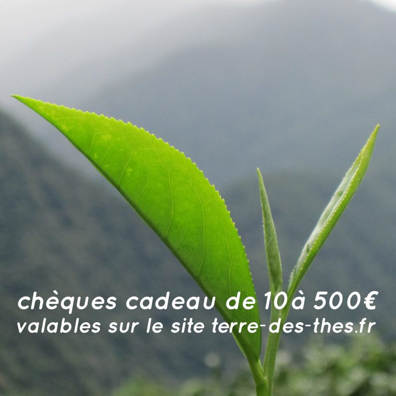 Chèque-cadeau 1 offrir idée cadeaux