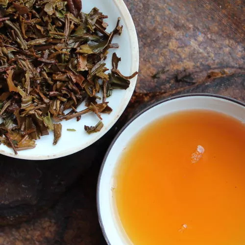 thé issu de l'agriculture biologique, oxydation des feuilles