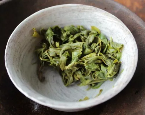 Thé vert Mao Feng infusé dans un gaiwan