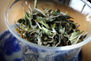 thé blanc nuage de Jade BIO 2015