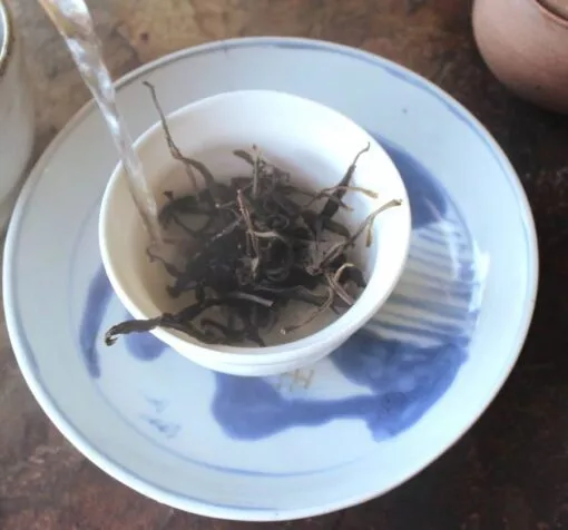 puerh thé nanmei thé d'arbres sauvages