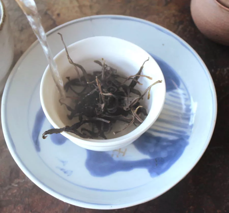 Dégustation puerh vert (sheng) 4 puerh thé nanmei thé d'arbres sauvages