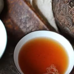 Puerh champignon thé