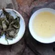 infusion des feuilles puerh yiwu