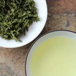 thé vert sencha asanagi famille hayashi