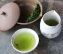 Gyokuro cultivar asatsuyu printemps 2018