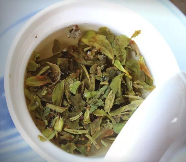 Dégustation thé noir de Darjeeling 3 gaiwan infusion thé 1st flush inde