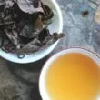 GABA thé oolong en gongfucha