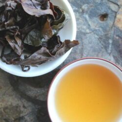 GABA thé oolong en gongfucha