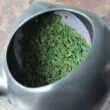 utilisation d'un kyusu avec un kabusecha