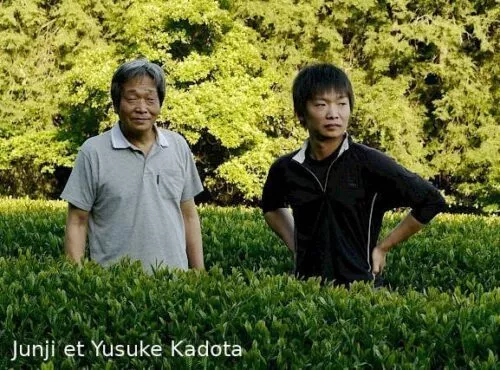 Junji et Yusuke Kadota dans leurs plantations