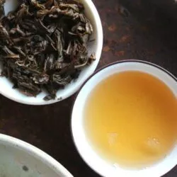 infusion de tuocha thé pu-erh sheng de la fabrique Xiaguan