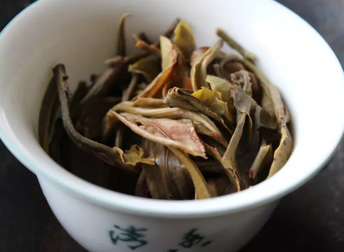 Pu-erh thé printemps 2019