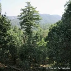 Jardin écologique de Yanuo