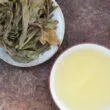 Thé puerh de vieux théiers gushu Thaïlande