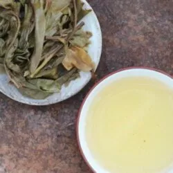 Thé puerh de vieux théiers gushu Thaïlande