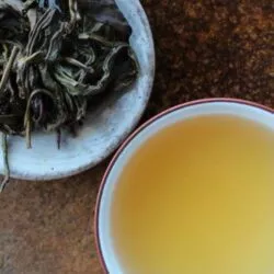 Infusion de thé vert taiwanais théiers sauvages de Luigui