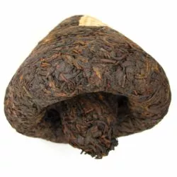 Chanpignon Jincha Pu-erh Shu