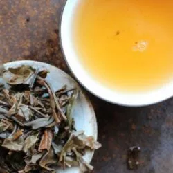 Infusion de thé puerh vert Qunying Hui 2013
