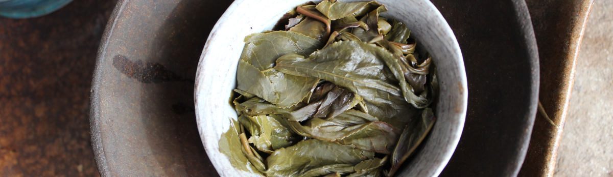 puerh vert Thaïlandais en mao cha