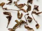 feuilles de thé nature Ruan Zhi Oolong
