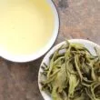Infusion du thé vert nature Shan Ha Giang
