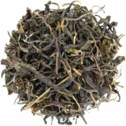 puerh vert théiers sauvages de Thaïlande