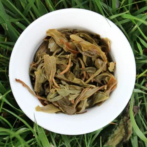 Feuilles infusées pu erh sauvage de Thaïlande