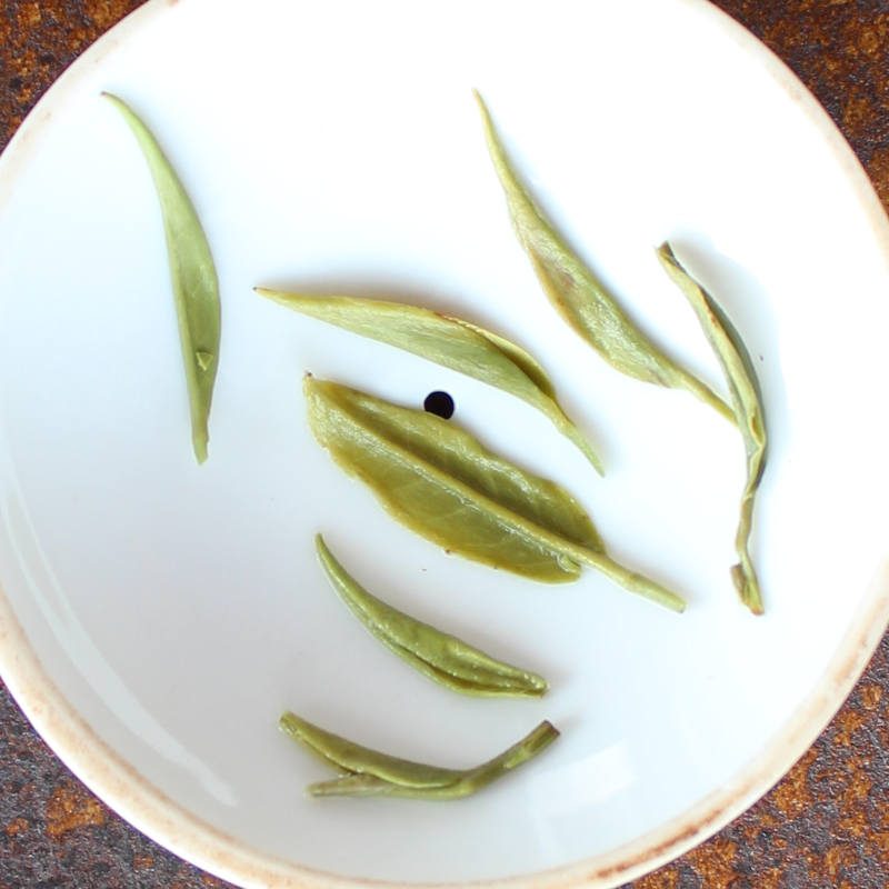 Duyun Maojian 2025 5 Thé vert Duyun récolte printemps