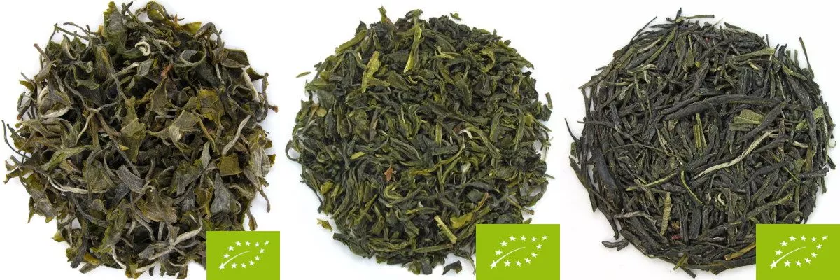 thé vert bio du Népal