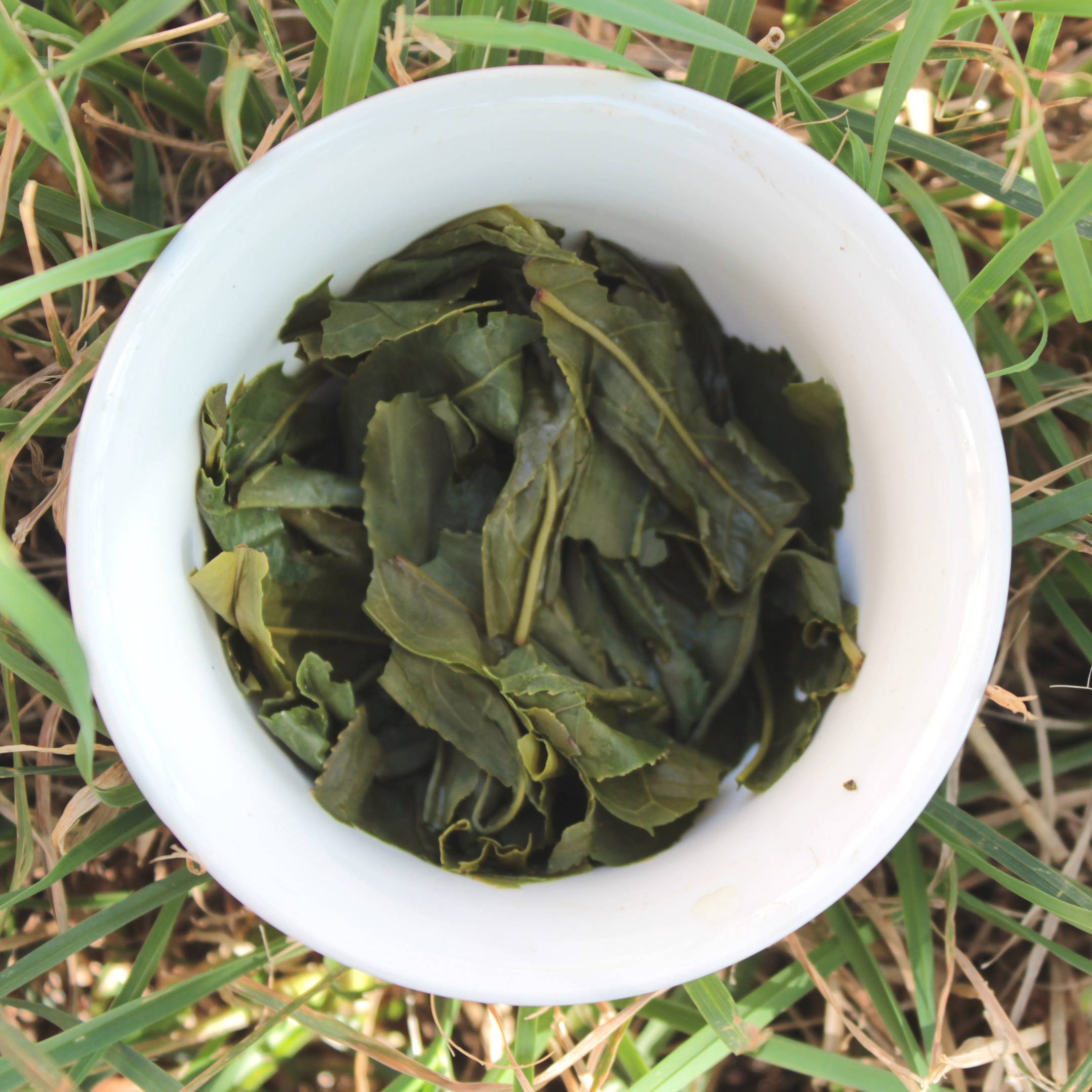 Lu An Gua Pian 2025 3 Infusion du Luan Guapian