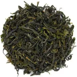 Oolong théier sauvage Tieguanyin