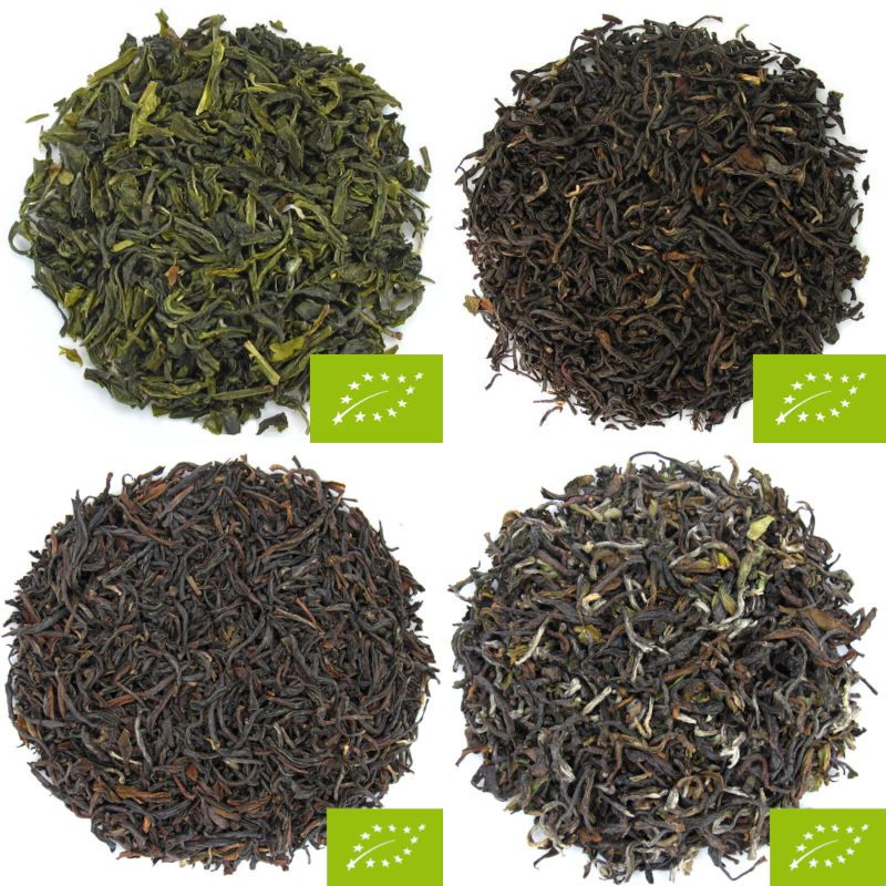 Ensemble de thé nature produits à Ilam au Népal