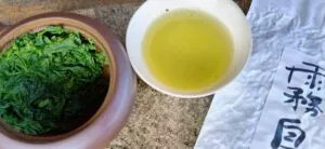 Thé vert frais du Japon
