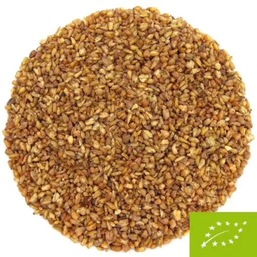 graines de sarrasin pour infusion