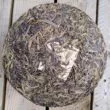 ZCF Gushu yin zhen 2008 galette recto