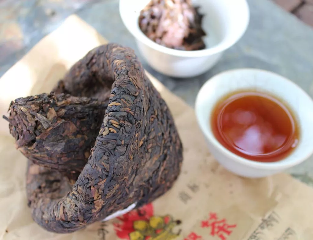 Puerh sheng champignon de Xiaguan Baoyan