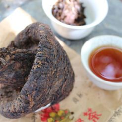 Puerh sheng champignon de Xiaguan Baoyan