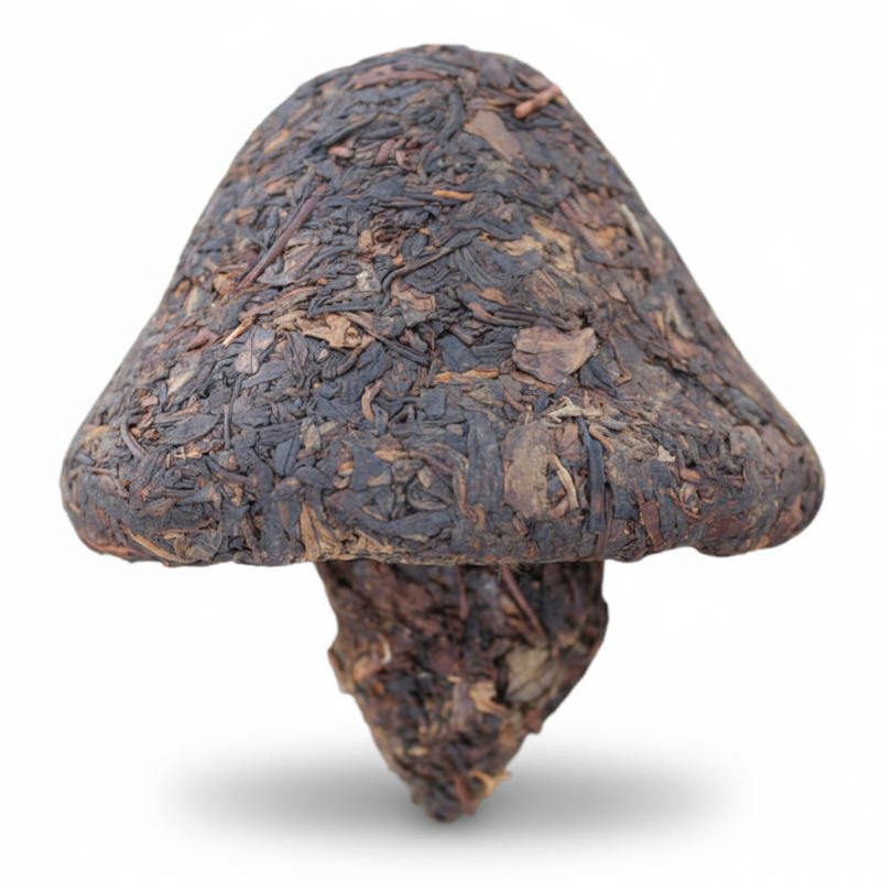 Thé sheng Xiaguan en champignon