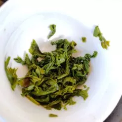 Thé vert japonais kamairicha