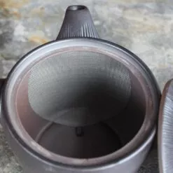 intérieure kyusu japonais filtre inox