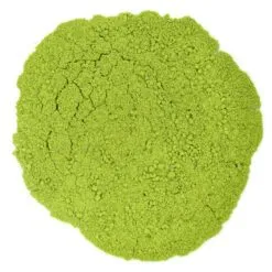 Matcha de Miyazaki, producteur Morimoto