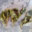 feuilles du ruan rhi infusée