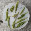 Feuilles infusées du Wudangshan Maojian